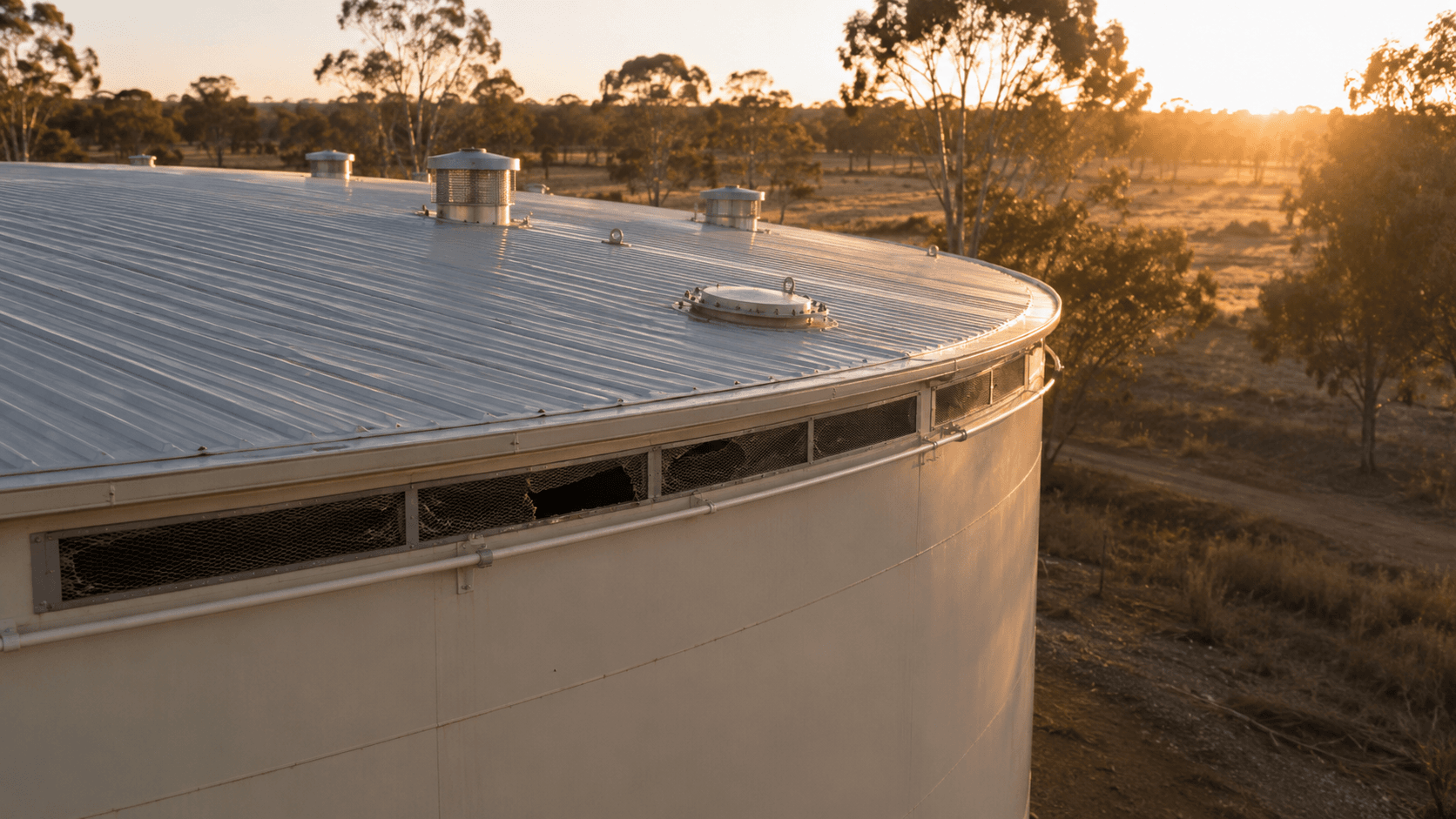 Birds Are the Most Common Body Found Inside Australian Tanks