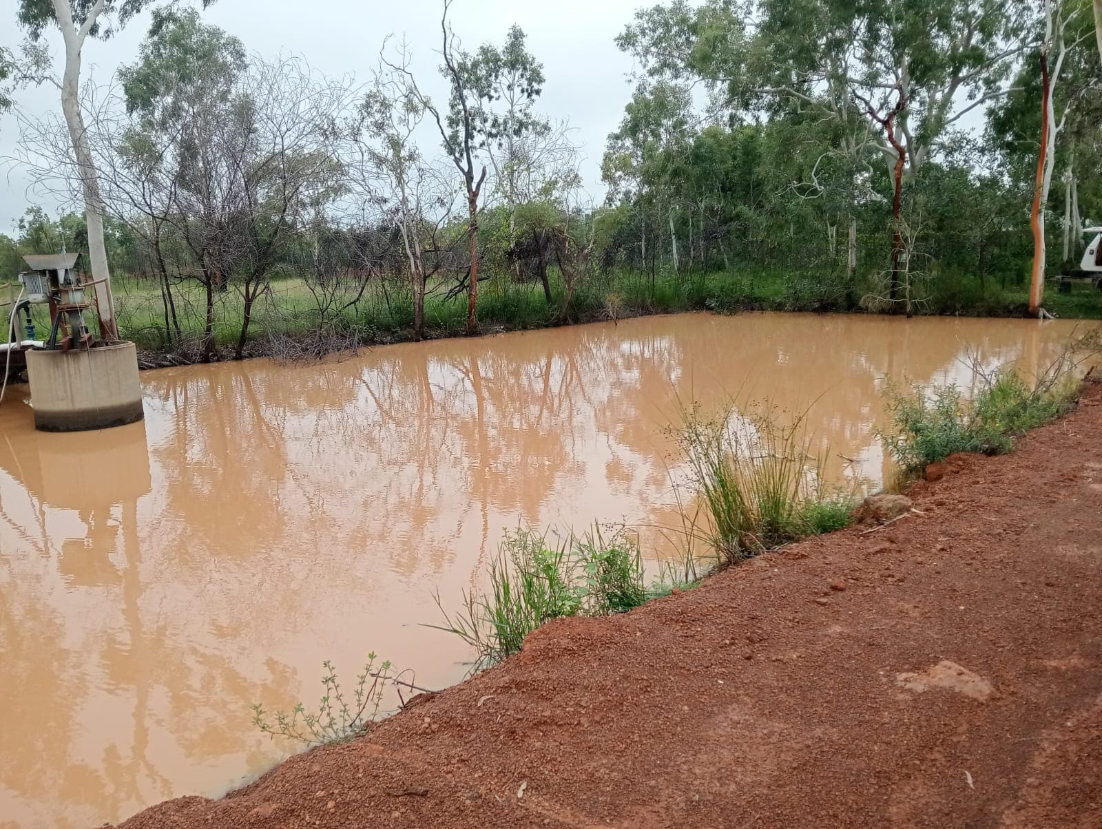 Sediment Disposal: What Happens to Everything That Comes Out of Your Tank